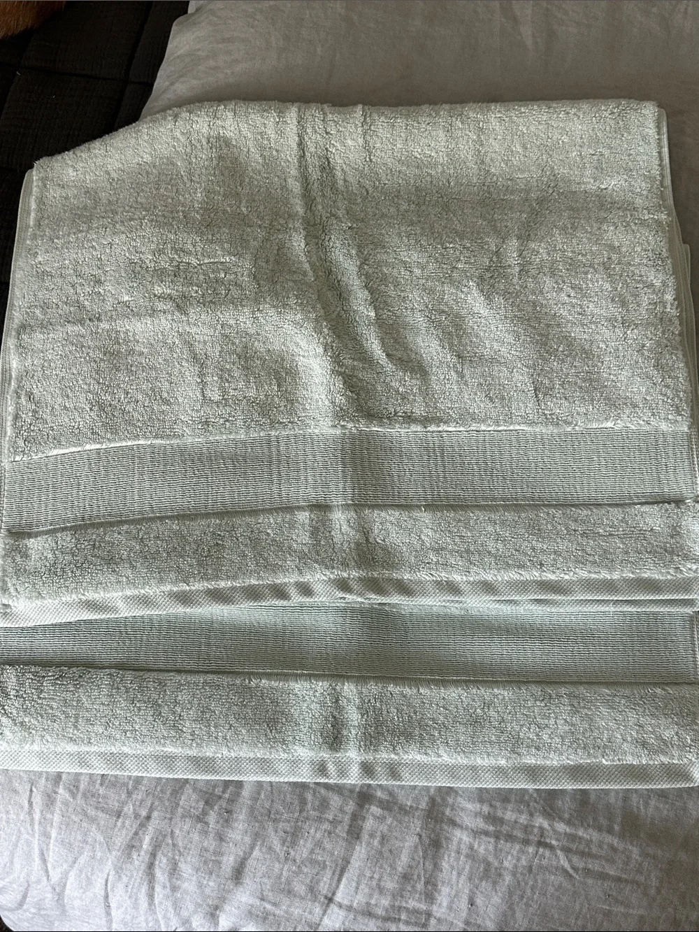 Quince Light Mint Hand Towels - Soft Plush Set